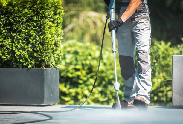 Best Driveway Pressure Washing  in Taft Heights, CA
