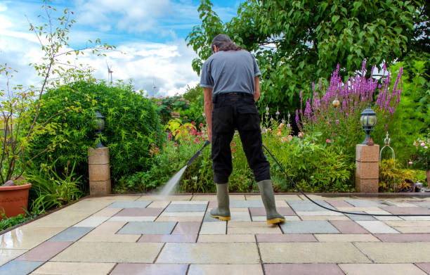 Best Animal Enclosure Cleaning  in Taft Heights, CA