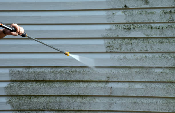 Best Sidewalk and Walkway Cleaning  in Taft Heights, CA