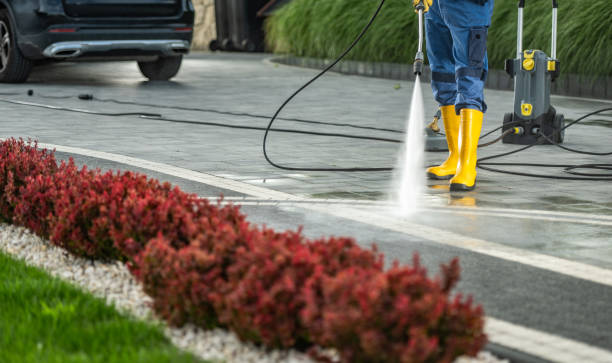 Best Sidewalk and Walkway Cleaning  in Taft Heights, CA